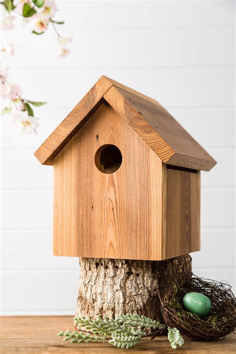 Easy DIY Birdhouse Plans Step By Step Building Directions
