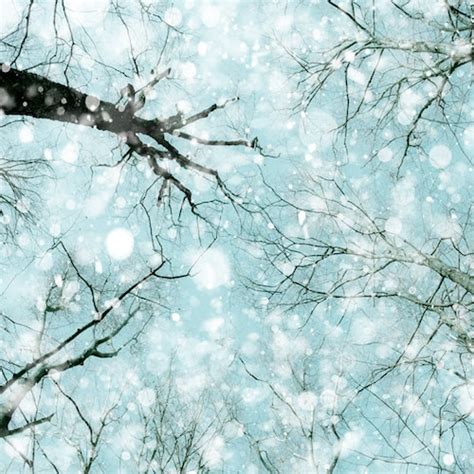 Winter Snow Photography Nature Photo Falling Snow Forest Etsy
