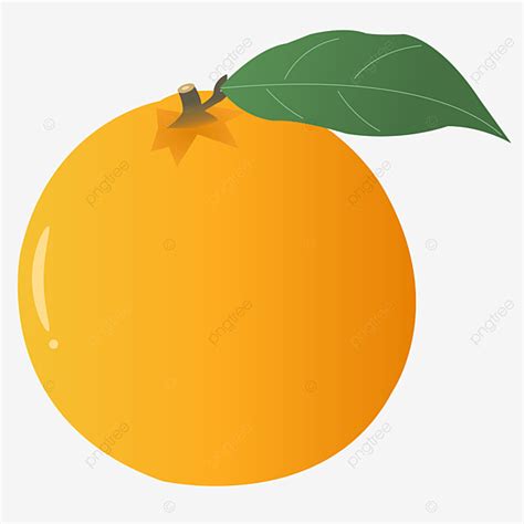 Top 157 Imagenes De Naranjas Animados Destinomexicomx