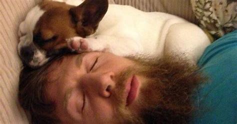 This Picture Perfectly Explains Why Daniel Bryan Is So Over Imgur
