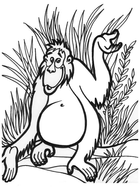 Jungle Themed Coloring Pages At Free