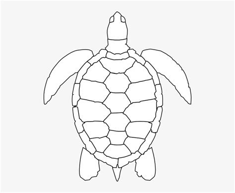 Turtle Shell Pattern Drawing 516x594 Png Download Pngkit