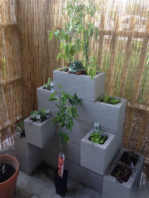 Unfortunately, these traditional cinder blocks shouldn't be used to make a cinder block garden if your gardening goals include growing vegetables to secure your food supply and feed your family. Urban garden, cinder block garden, small space gardening ...