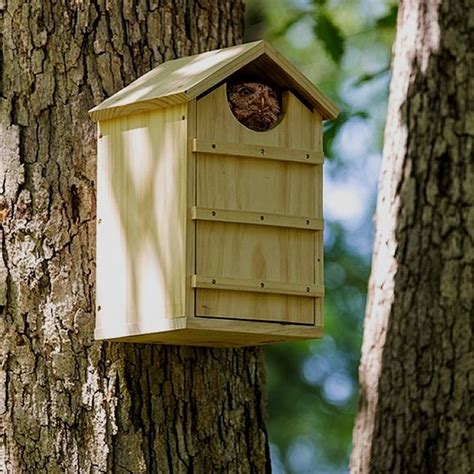 A Bird House Hanging From The Side Of A Tree