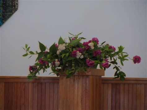 Pin On Church Sanctuary Flowers