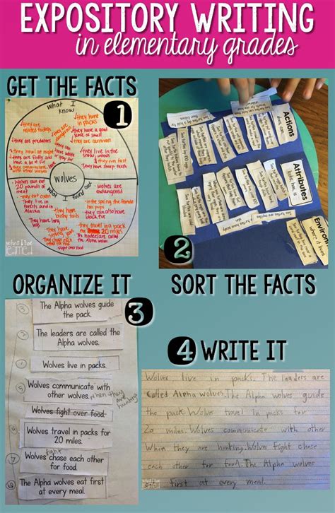 Expository Writing In Elementary School Learn How To Elicit The Facts