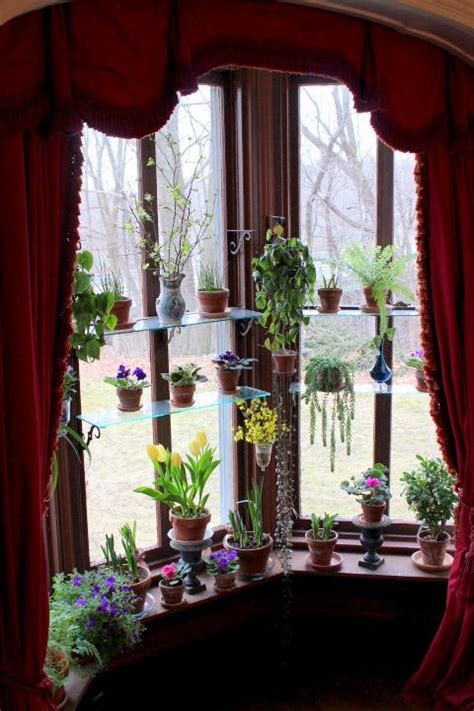 Img5055 Indoor Window Garden House Plants Decor Better Homes And