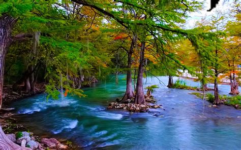 Beautiful Hd Wallpaper Mountain River With Turquoise Green Water Pine