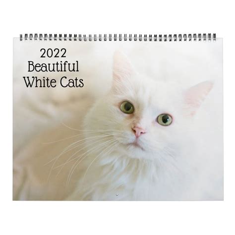 Beautiful White Cats 2022 Calendar
