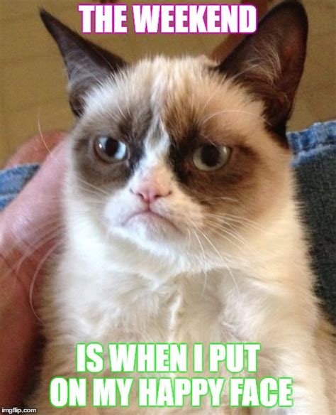 Grumpy Cat Meme Imgflip