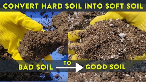 How To Convert Hard Soil Into Soft Soil Improving Clay Soil Into Best