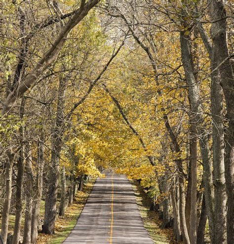 The 9 Best Backroads In Kentucky For A Long Scenic Drive Scenic Drive
