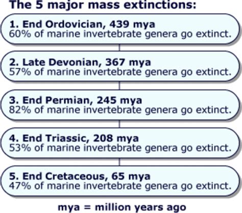 History Of Earth Events Timeline Timetoast Timelines