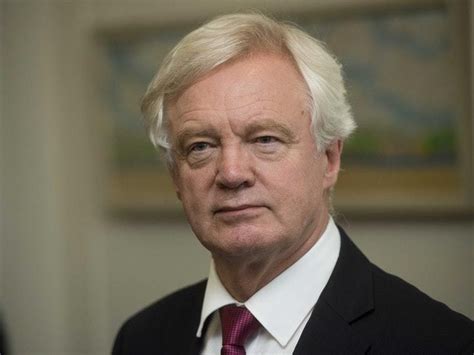 David Davis Says He Just Has To Be Calm Not Very Clever To Be Brexit