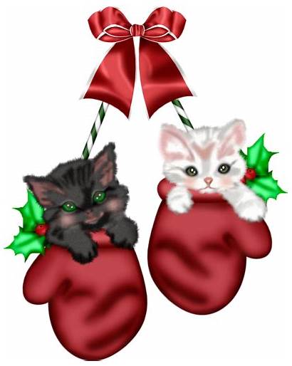 Kitten Clipart Cat Tubes Kerst Transparent Noel