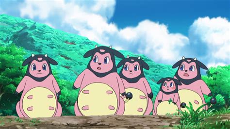 Of or relating to pigs: 25 Fun And Fascinating Facts About Miltank From Pokemon ...