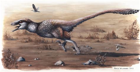 Giant Raptor Fossil Discovered In South Dakota Discover Magazine