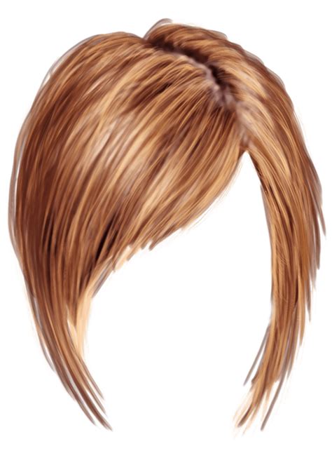 Hair Wig Png