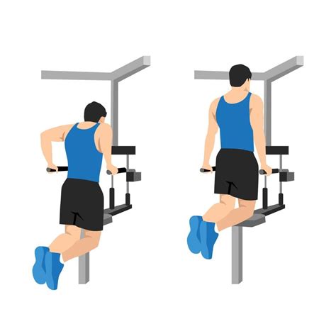 Man Doing Dips On Parallel Bars In The Gym Exercise Flat Vector