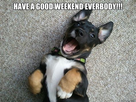 Have A Good Weekend Everbody Happy Puppy Quickmeme