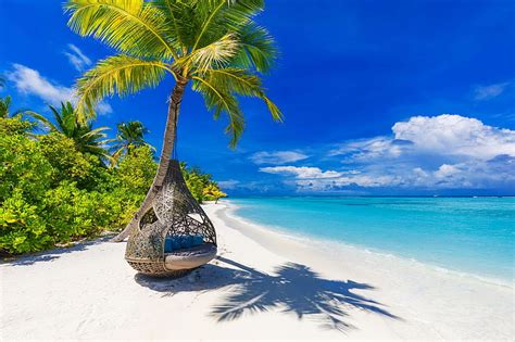 Summer Of The Maldives Rest Vacation Exotic Ocean Maldives Breeze