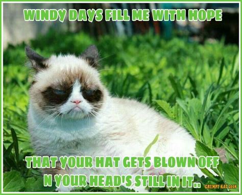 A Grumpy Cat Laying In The Grass With Caption That Reads Windy Days