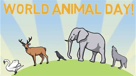 New Animal Images For World Animal Day Videoscribe Youtube