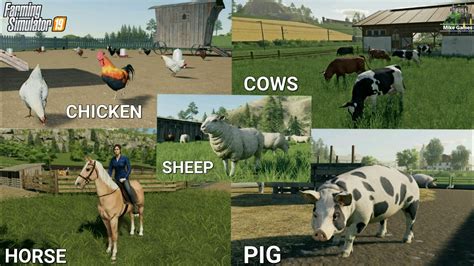 Farming Simulator 19 Official Photo Of Animal Youtube