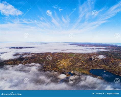Aerial View Over Forest During Vibrant Autumn Colors Aerial View Of