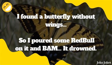 65 Butterflies Jokes To Make Fun Jokojokes