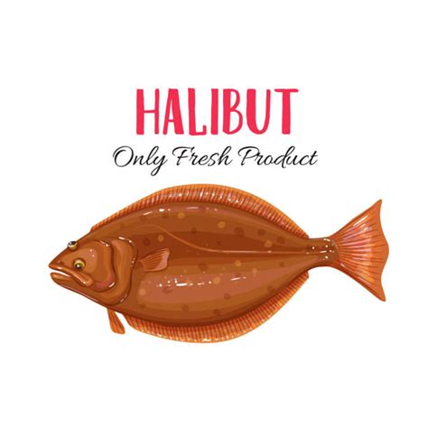 120 Cartoon Of The Halibut Stock Illustrations Royalty Free Vector
