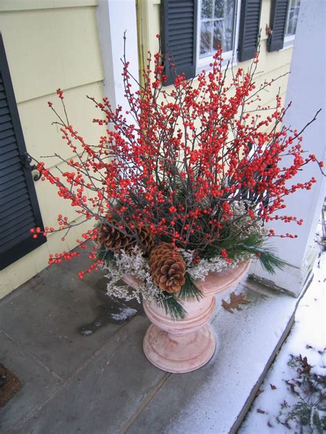 17 Best Images About Plants For Winter Containers On