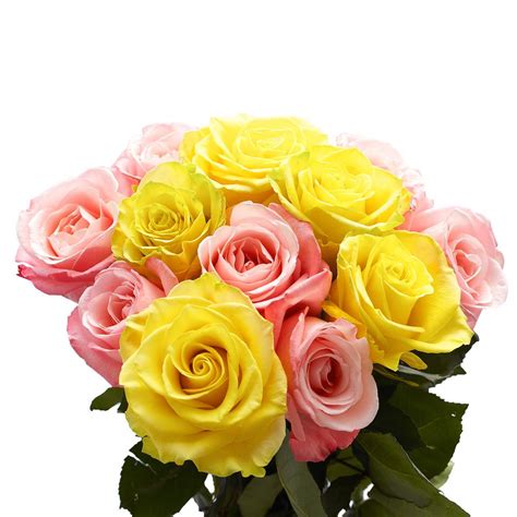 Flowers That Go With Yellow Roses Flowers By Semia Lindseys Yellow