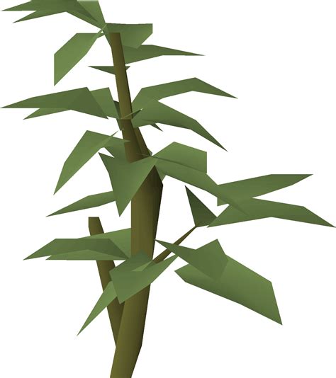 Filepotato Plants A Tail Of Two Cats Stage 2png Osrs Wiki