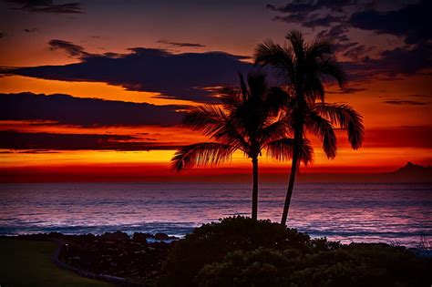 Tropical Sunset Red Orange Dusk Sunset Twilight Sea Palm Trees Beach Hd Wallpaper Peakpx