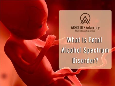featured image b1 what is fetal alcohol spectrum disorder min absolute advocacy