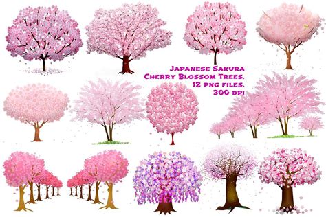 Sakura Cherry Blossom Trees Clipart Cherry Blossom Tree Tattoo