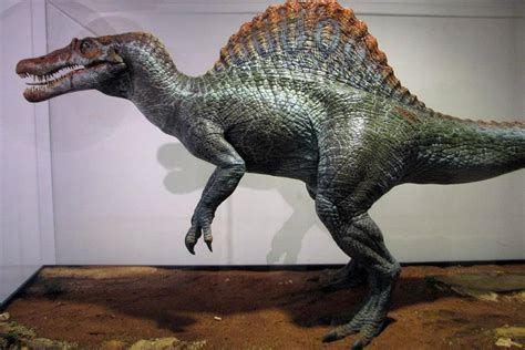 Spinosaurus Spinosaurus Jurassic World Jurassic World Dinosaurs Porn