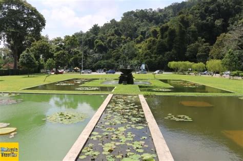 Charles curtis is the man behind this garden in 1884. Penang Botanic Gardens