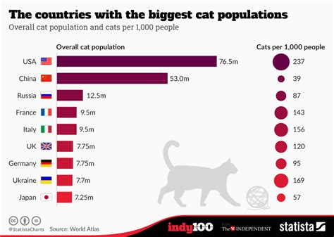 Countries With The Largest Pet Cats Population Infographics