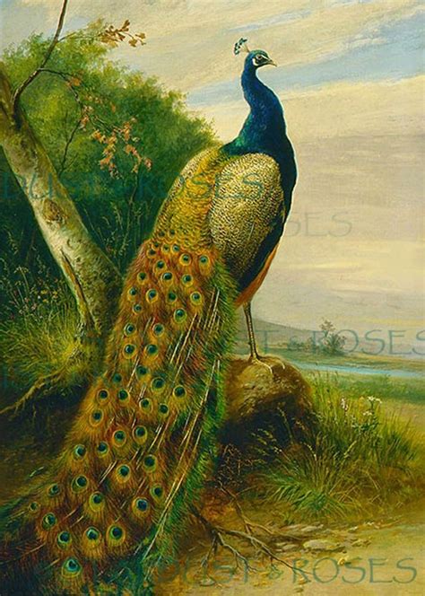 A Painting Of A Peacock Sitting On Top Of A Tree
