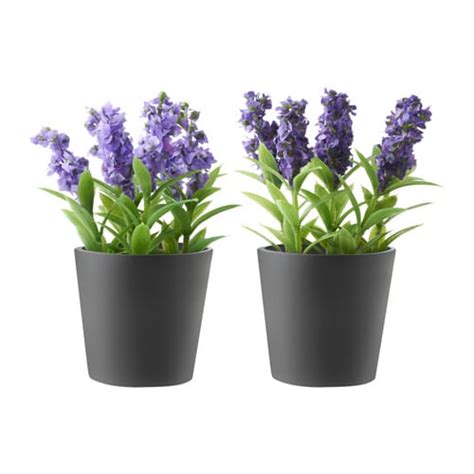 Maybe you would like to learn more about one of these? PORÖST Artificial potted plant with pot - IKEA