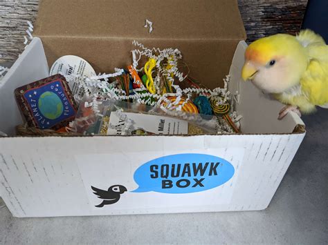 Squawk Box March 2020 Subscription Review - Hello Subscription