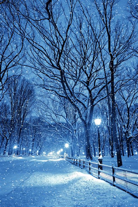Winter night in central park. Central Park By Night During Snow Storm by Pawel.gaul