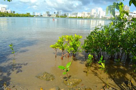 El anunciante prefiere no mostrar la dirección exacta, pero. La Laguna del Condado podría convertirse en reserva ...