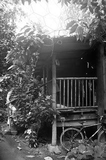 7/19/2011 (316/365) - Tropical Biome Home | Inside The Tropi… | Flickr