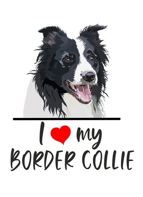 I Love My Border Collie Sticker Island Dogs