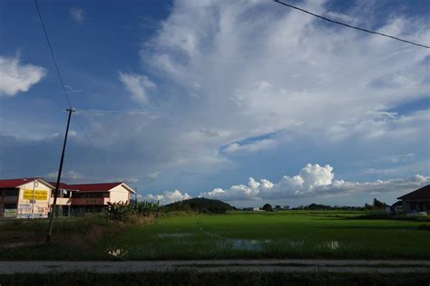 Sains tahun 6 unit 4 interaksi antara hidupan. Dana Wakaf Pulau Pinang