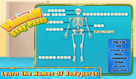 Kids Human Body Parts Learning Gameamazoncaappstore For Android