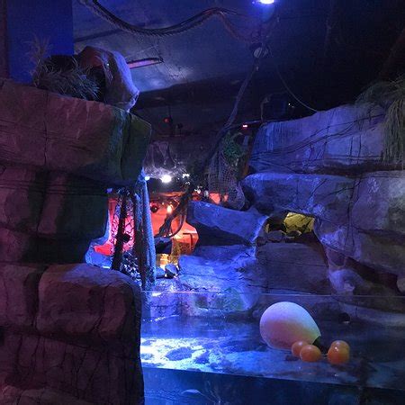 AquaDom & SEA LIFE Berlin - Aktuelle 2020 - Lohnt es sich? (Mit fotos)